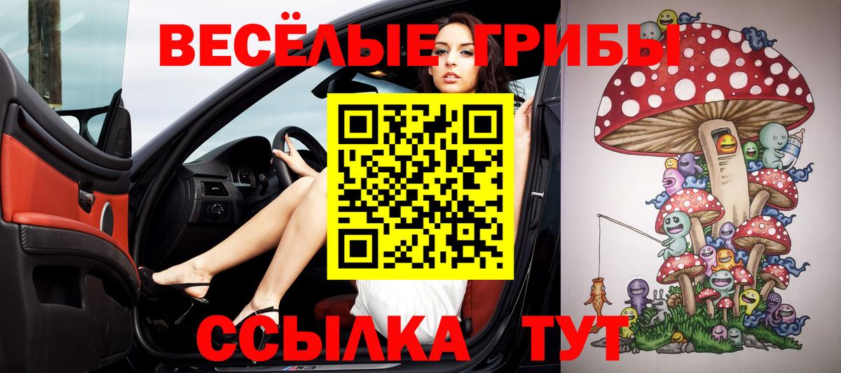 Галлюциногенные грибы MAGIC MUSHROOMS Калач-на-Дону